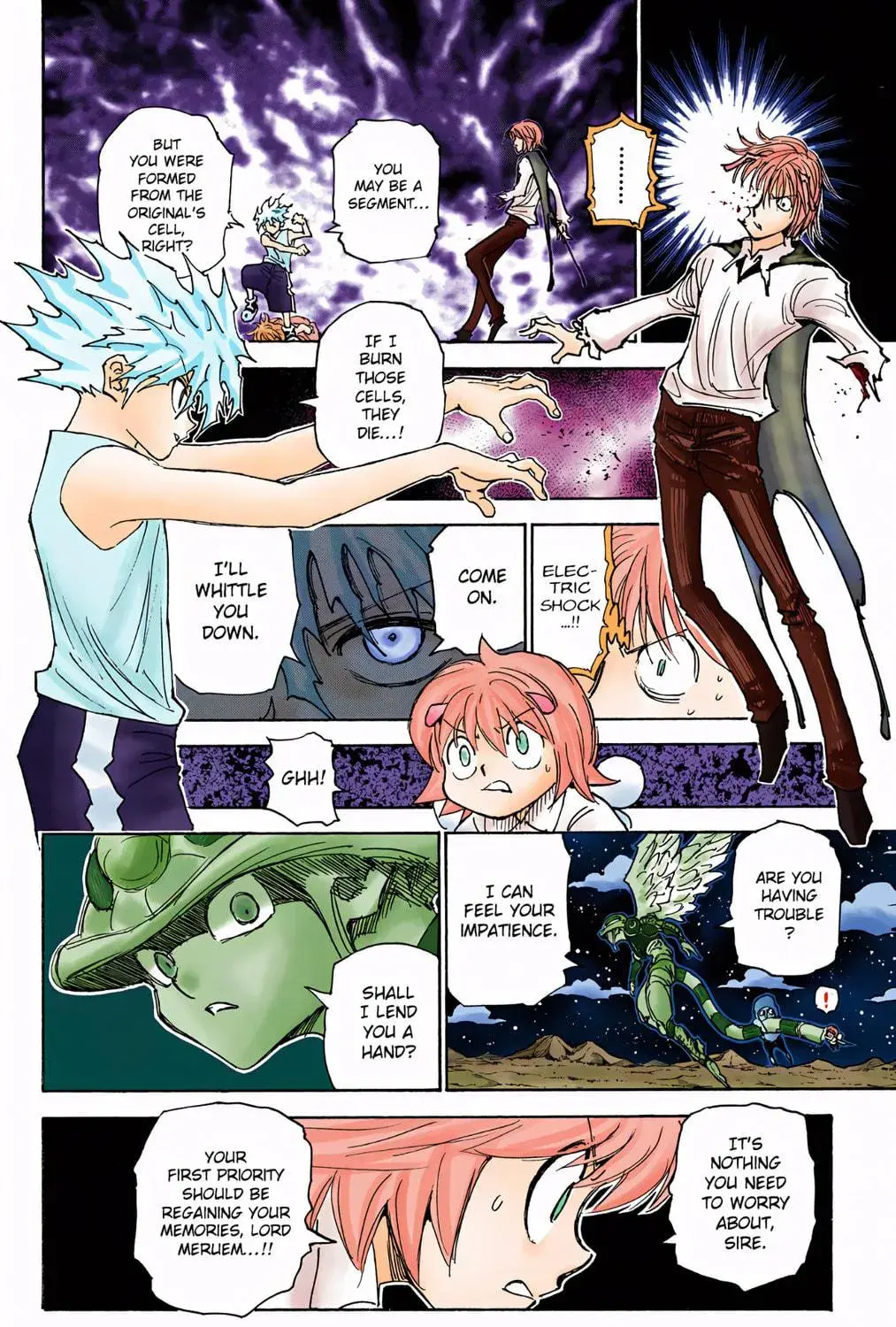 Hunter x Hunter Colored Manga, chapter 303, page 23