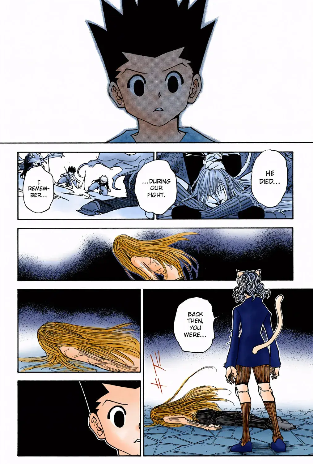 Hunter x Hunter Colored Manga, chapter 304, page 27