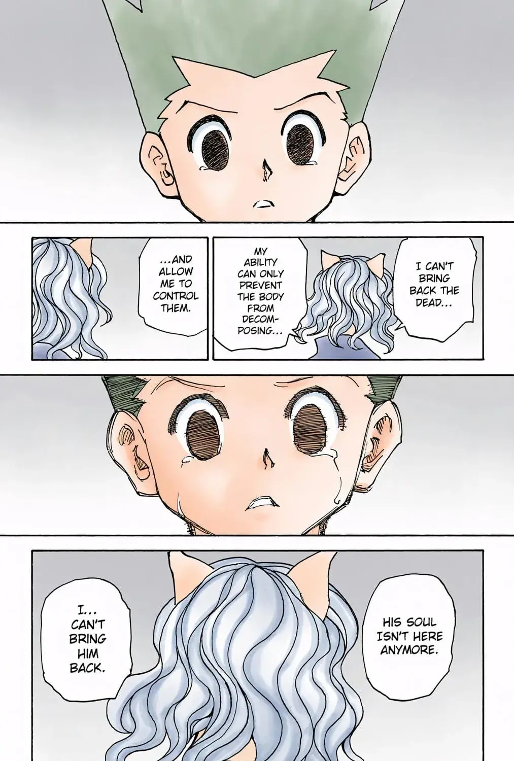 Hunter x Hunter Colored Manga, chapter 304, page 29