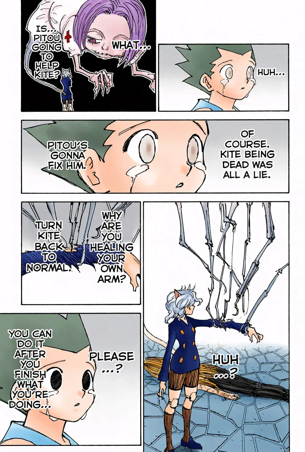 Hunter x Hunter Colored Manga, chapter 305, page 7