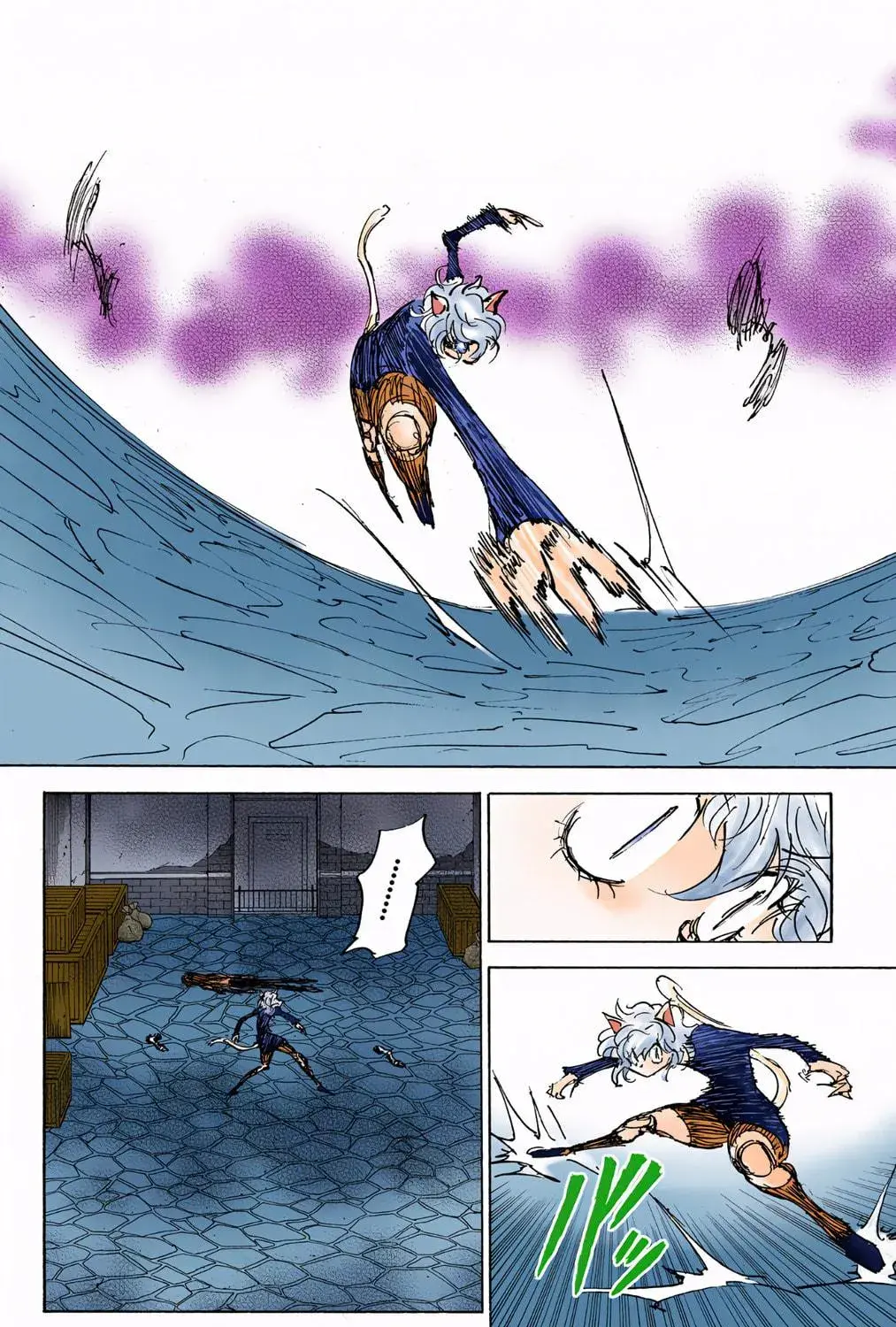 Hunter x Hunter Colored Manga, chapter 306, page 5
