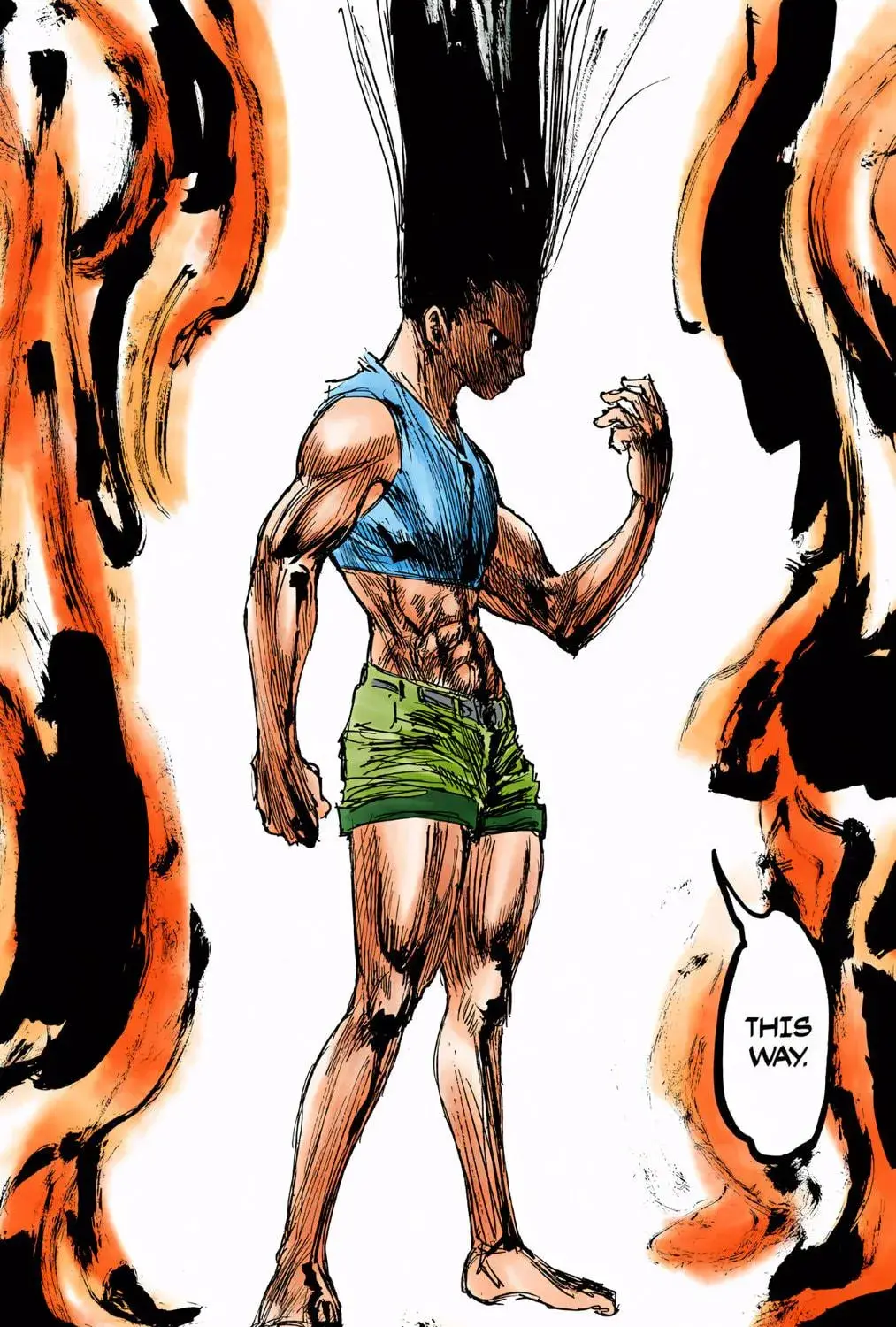Hunter x Hunter Colored Manga, chapter 306, page 9