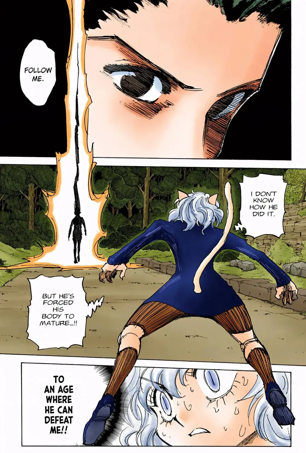 Hunter x Hunter Colored Manga, chapter 306, page 11