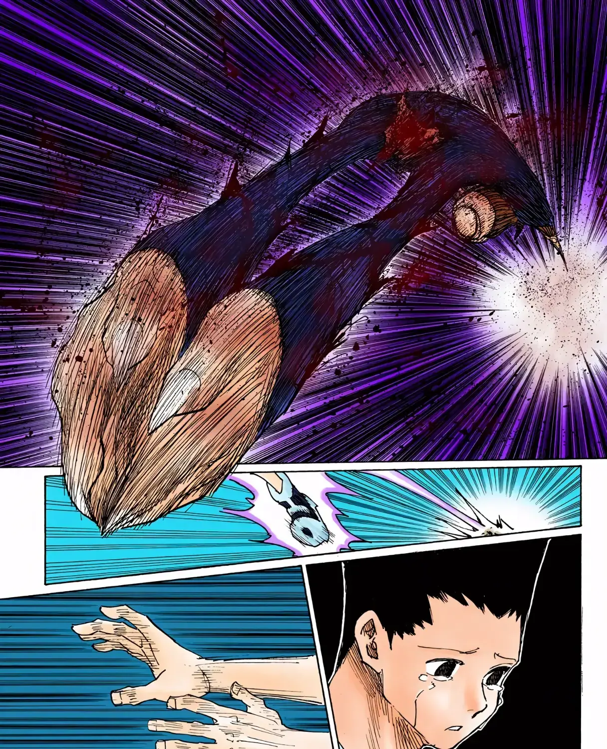 Hunter x Hunter Colored Manga, chapter 307, page 7