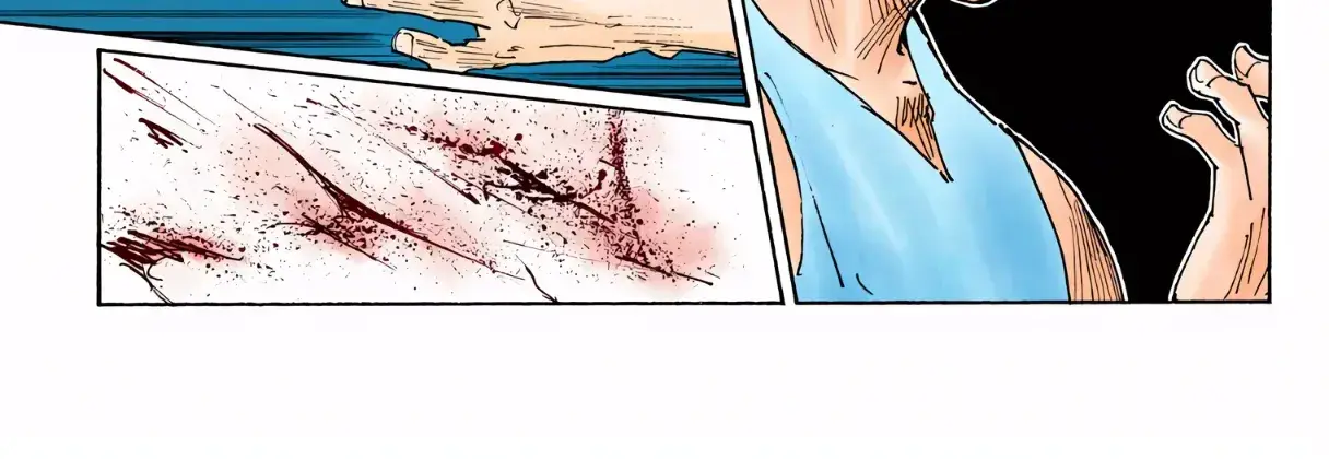 Hunter x Hunter Colored Manga, chapter 307, page 8