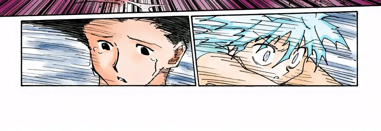 Hunter x Hunter Colored Manga, chapter 307, page 10