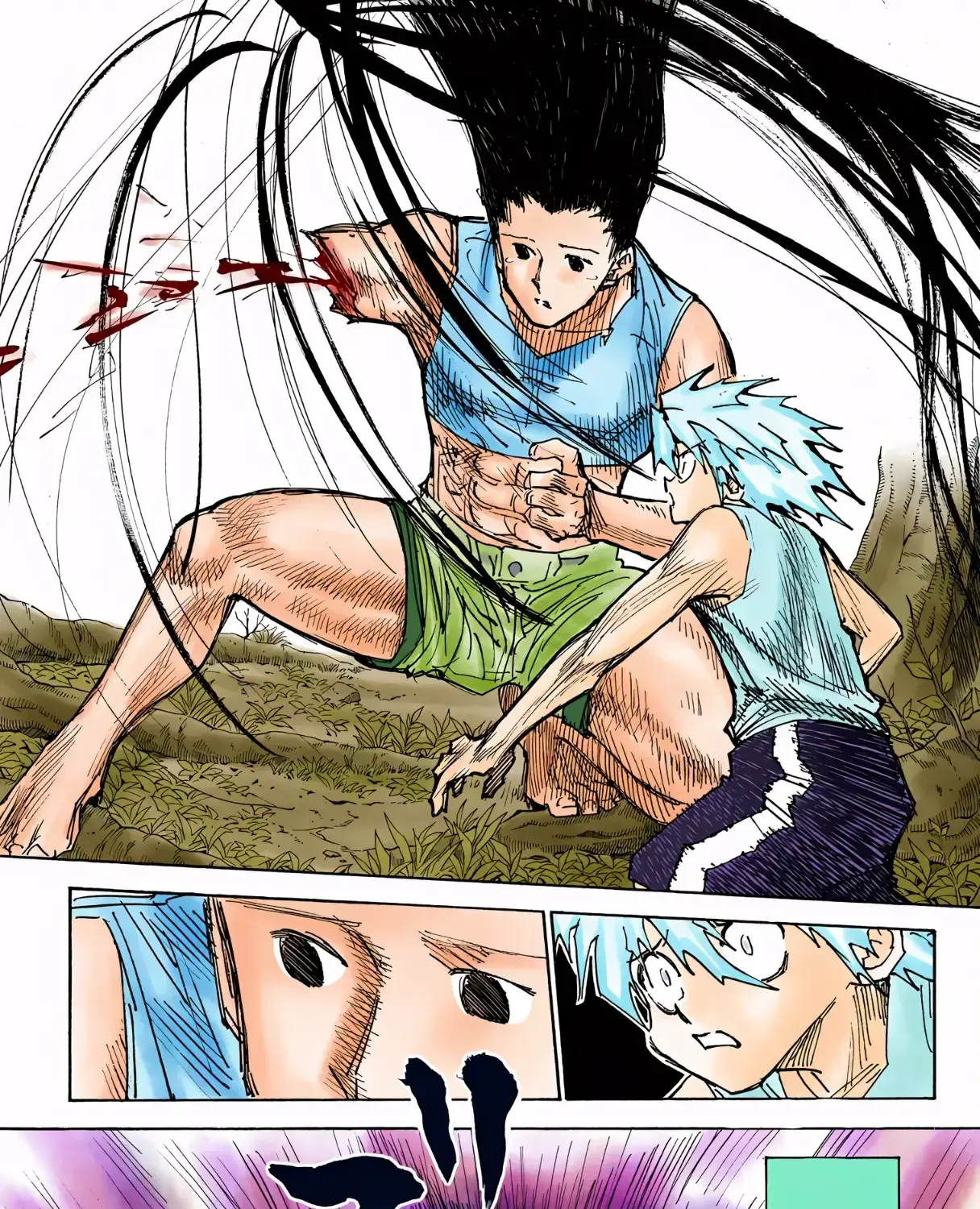 Hunter x Hunter Colored Manga, chapter 307, page 11