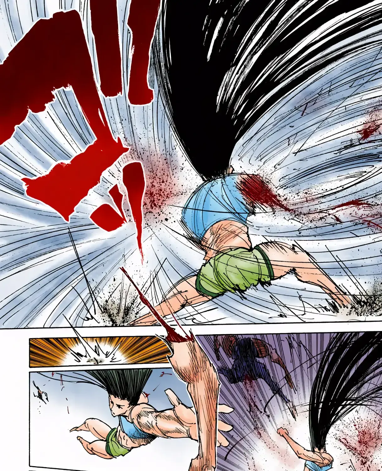 Hunter x Hunter Colored Manga, chapter 307, page 17