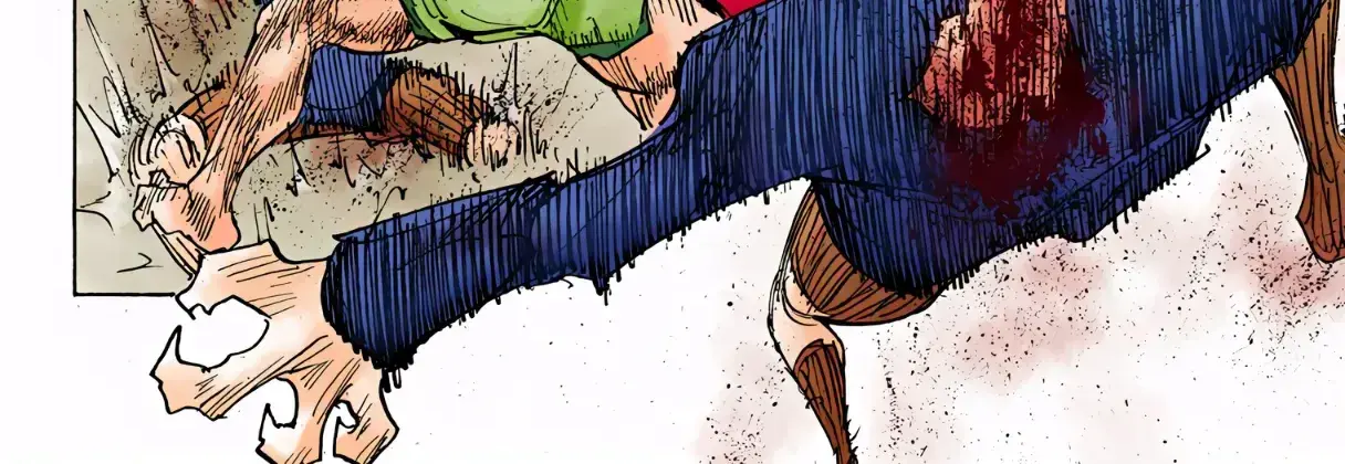 Hunter x Hunter Colored Manga, chapter 307, page 19