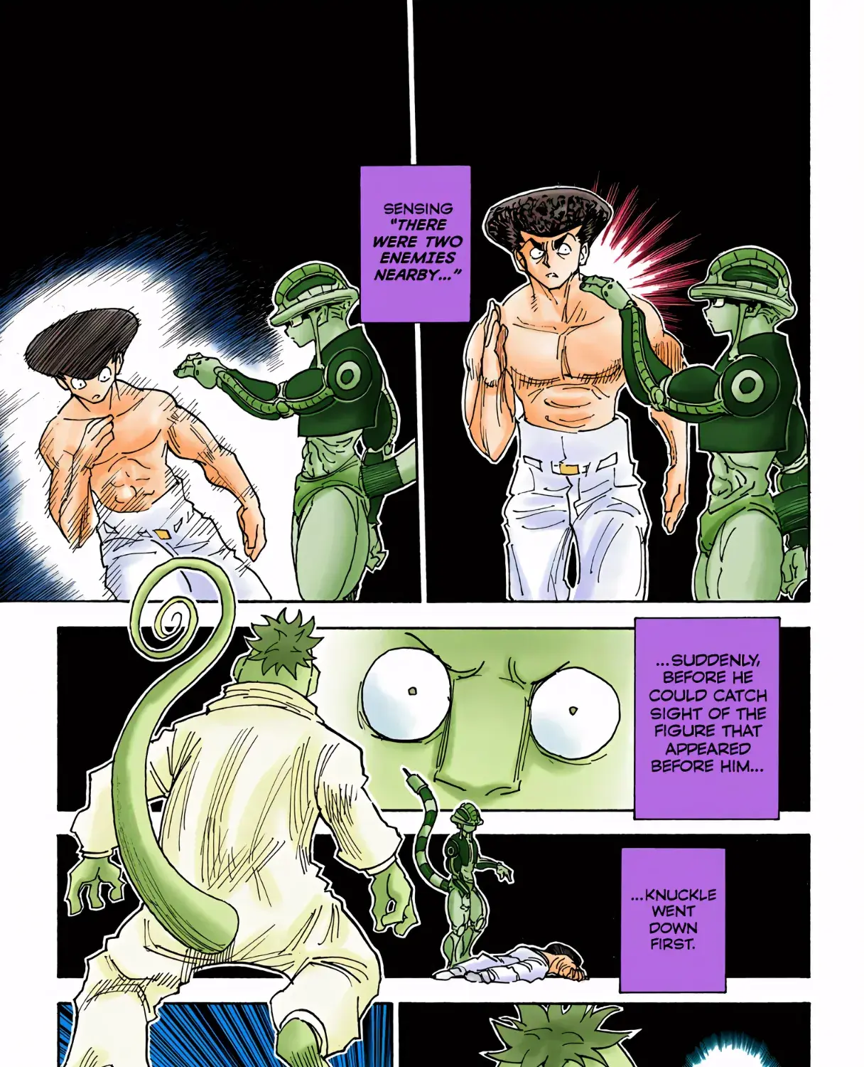 Hunter x Hunter Colored Manga, chapter 308, page 29