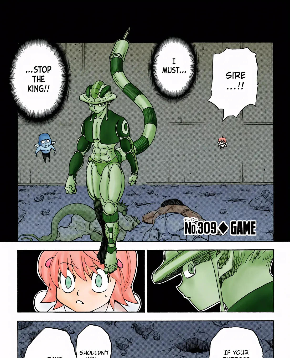 Hunter x Hunter Colored Manga, chapter 309, page 1