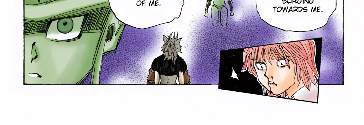 Hunter x Hunter Colored Manga, chapter 312, page 20