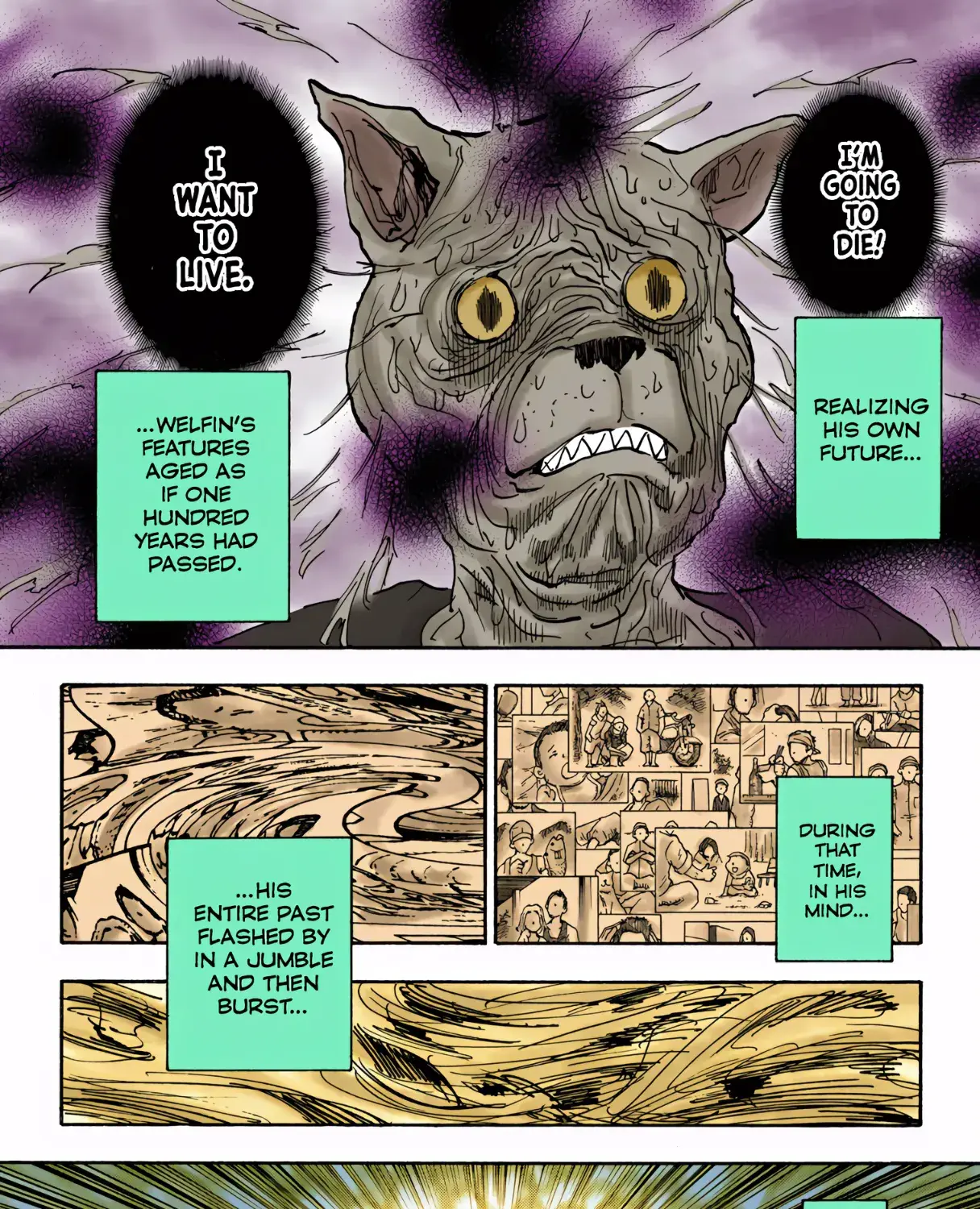 Hunter x Hunter Colored Manga, chapter 313, page 5