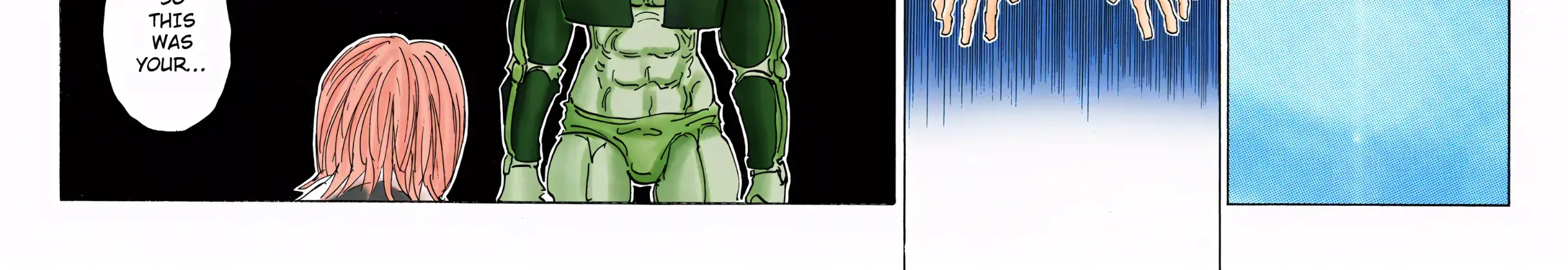 Hunter x Hunter Colored Manga, chapter 313, page 16