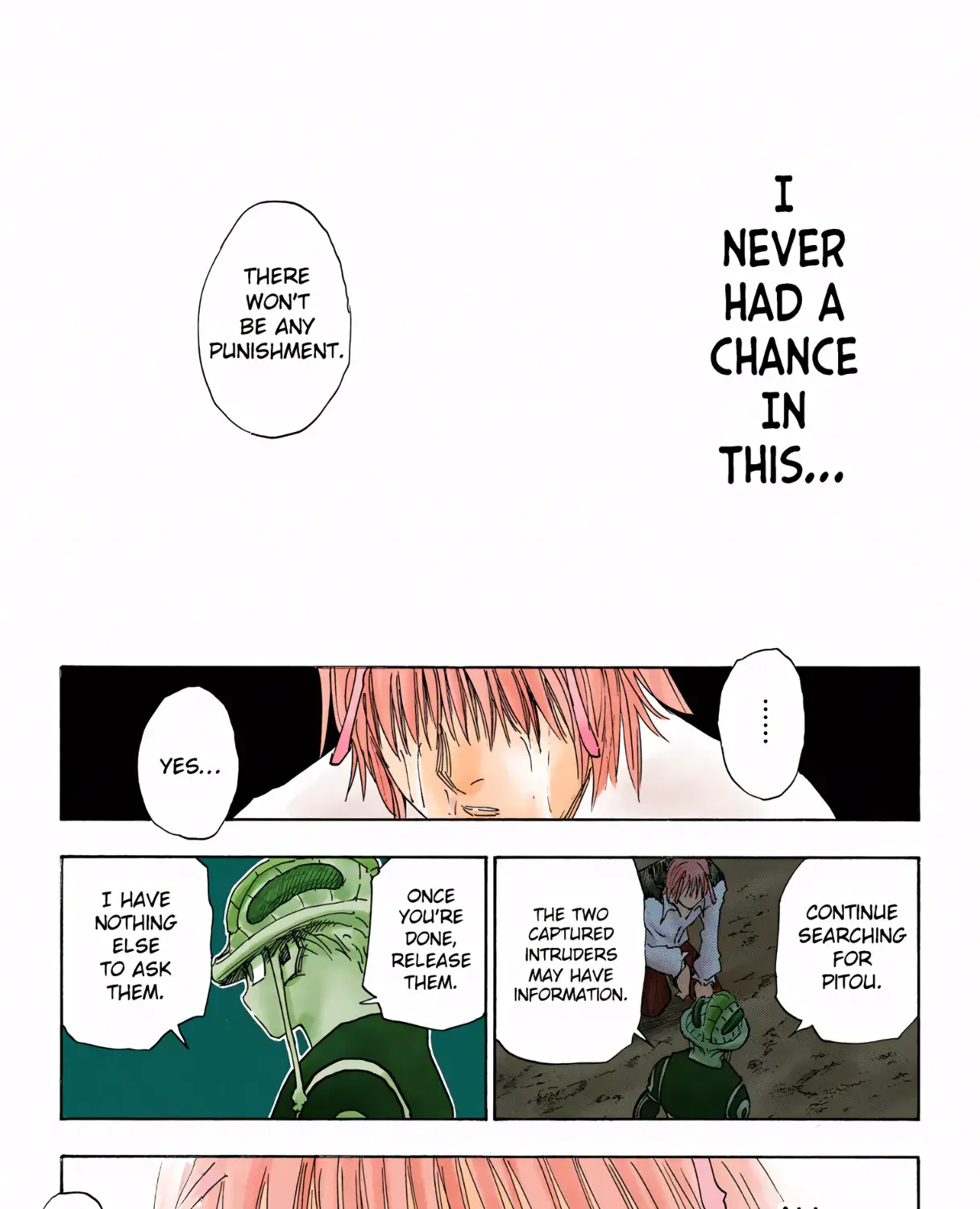 Hunter x Hunter Colored Manga, chapter 313, page 19