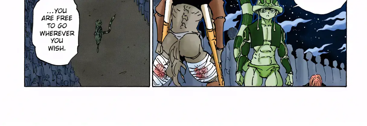 Hunter x Hunter Colored Manga, chapter 313, page 22
