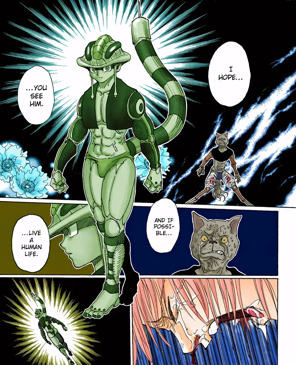 Hunter x Hunter Colored Manga, chapter 313, page 27