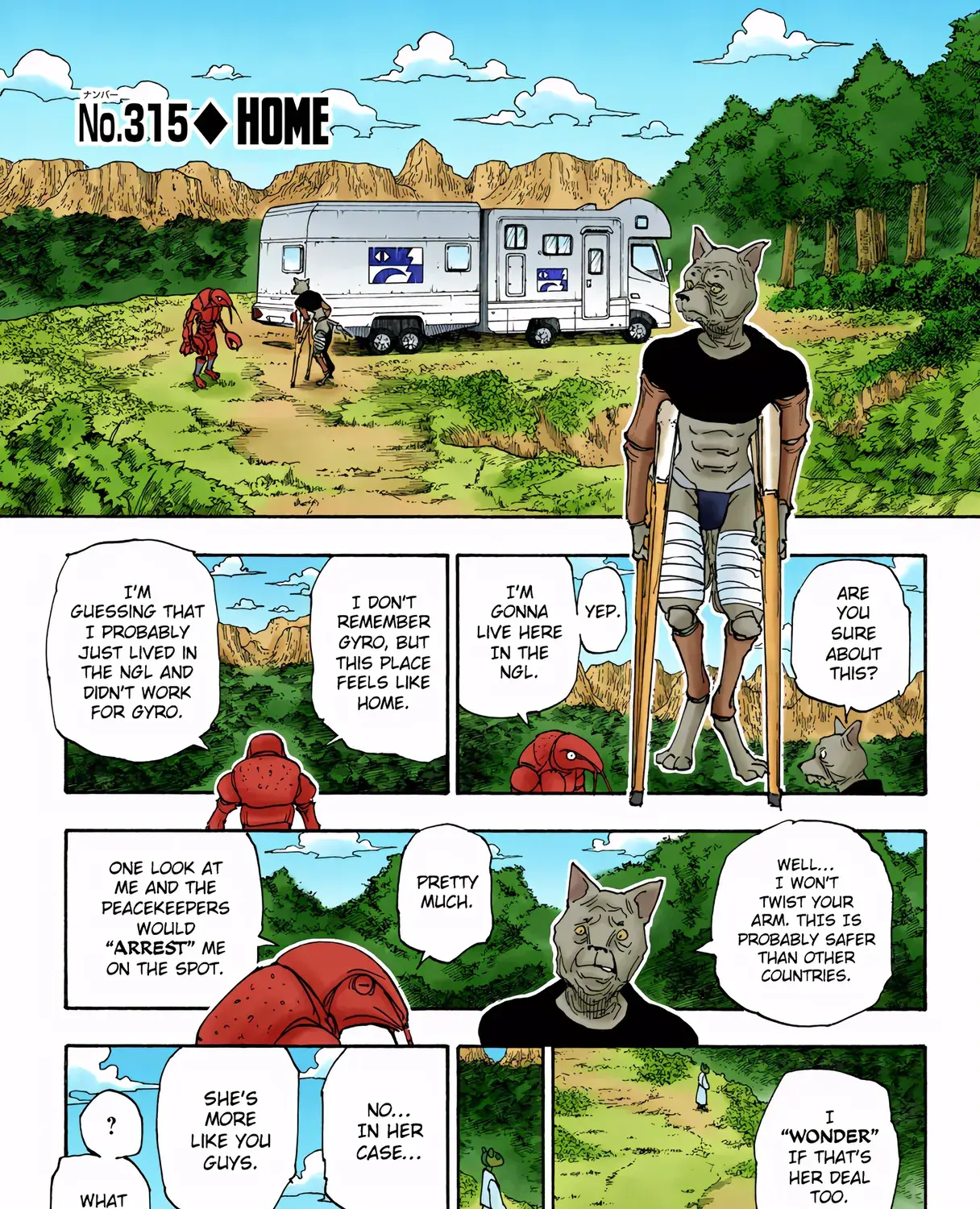 Hunter x Hunter Colored Manga, chapter 315, page 1