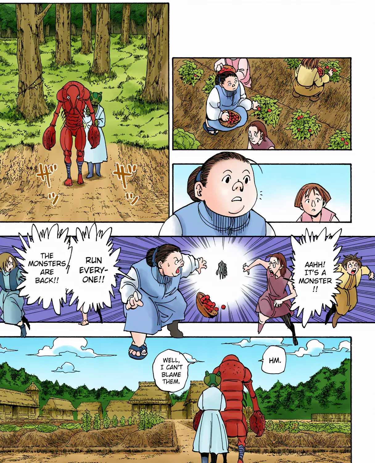 Hunter x Hunter Colored Manga, chapter 315, page 13