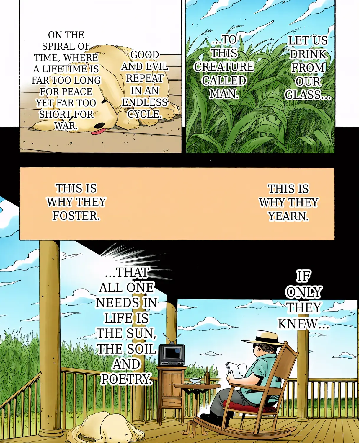 Hunter x Hunter Colored Manga, chapter 315, page 33
