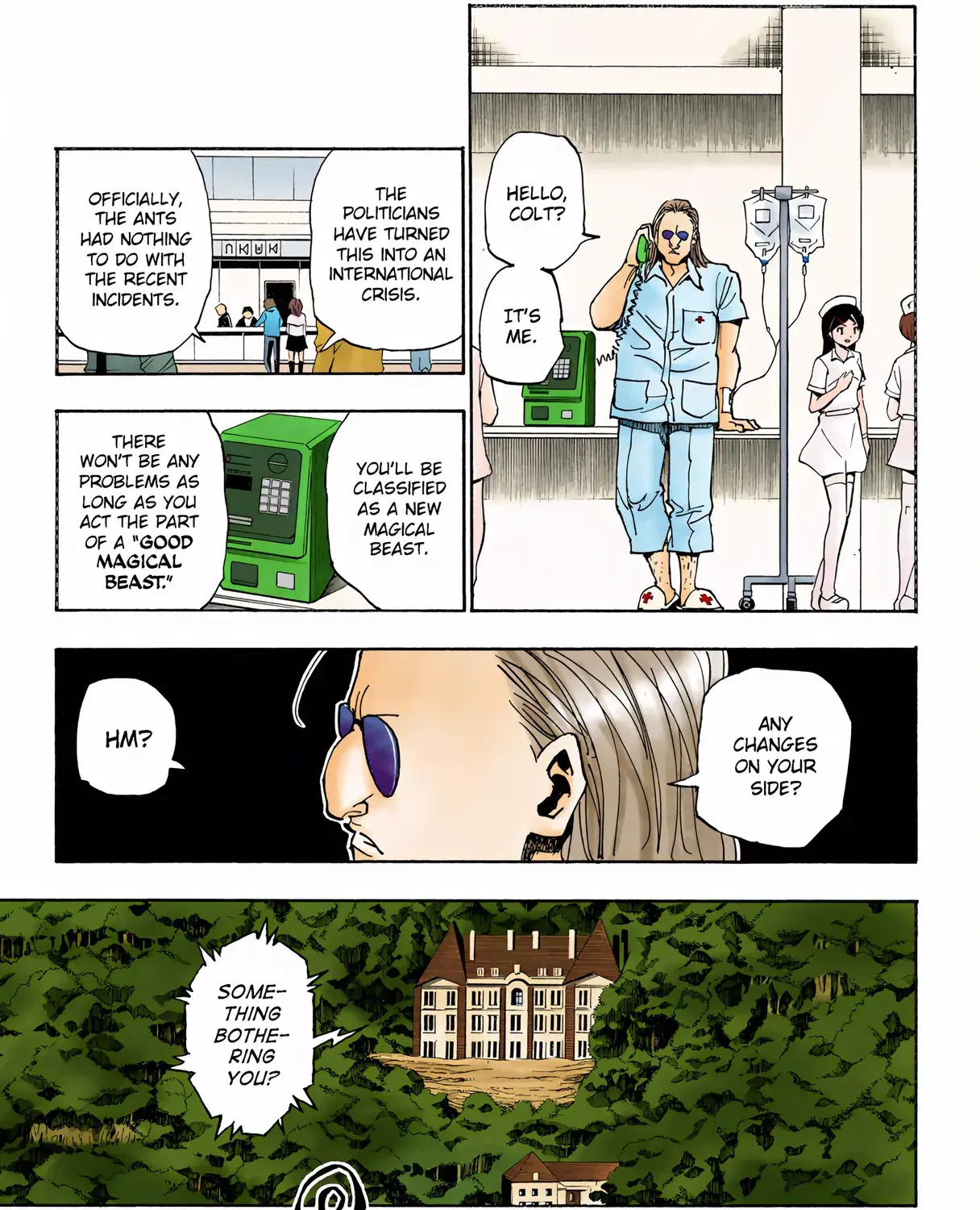 Hunter x Hunter Colored Manga, chapter 316, page 9