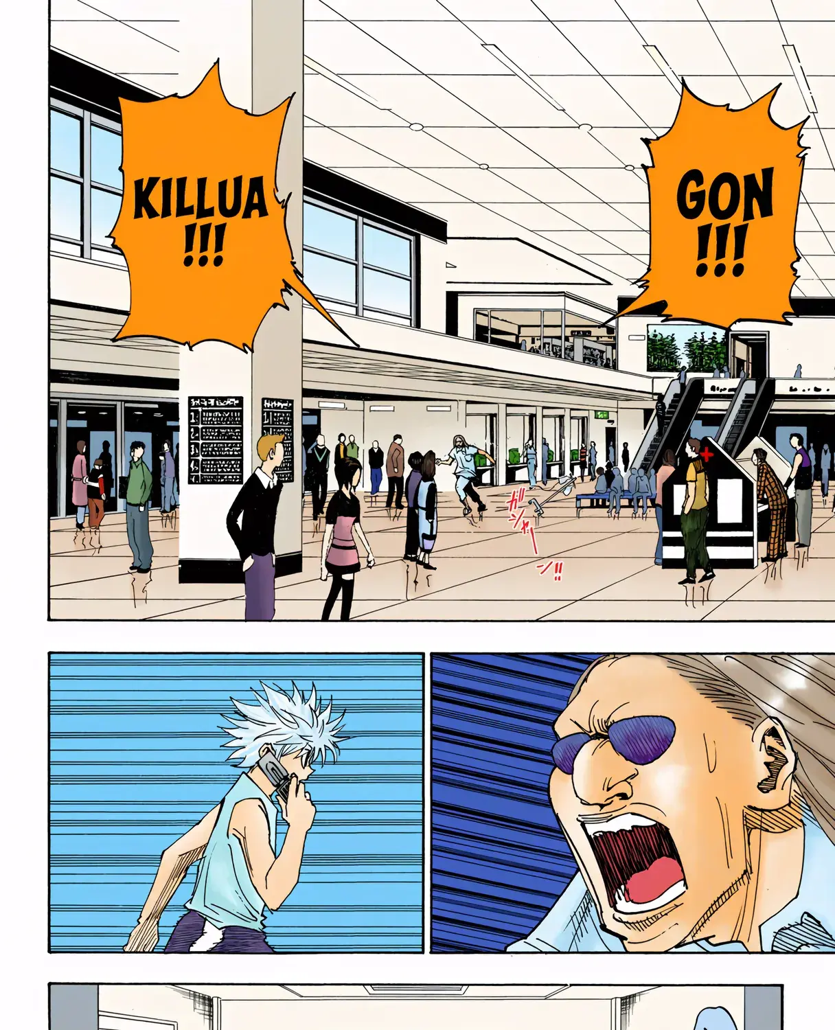 Hunter x Hunter Colored Manga, chapter 316, page 35
