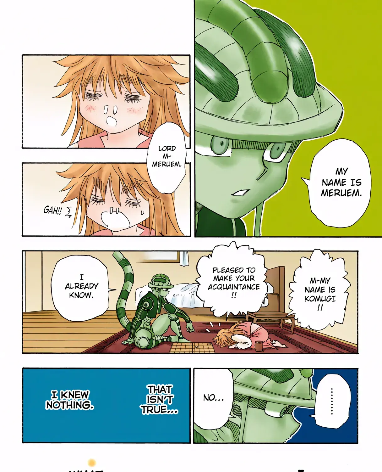 Hunter x Hunter Colored Manga, chapter 317, page 7