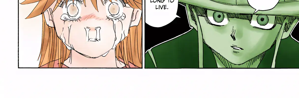 Hunter x Hunter Colored Manga, chapter 317, page 28