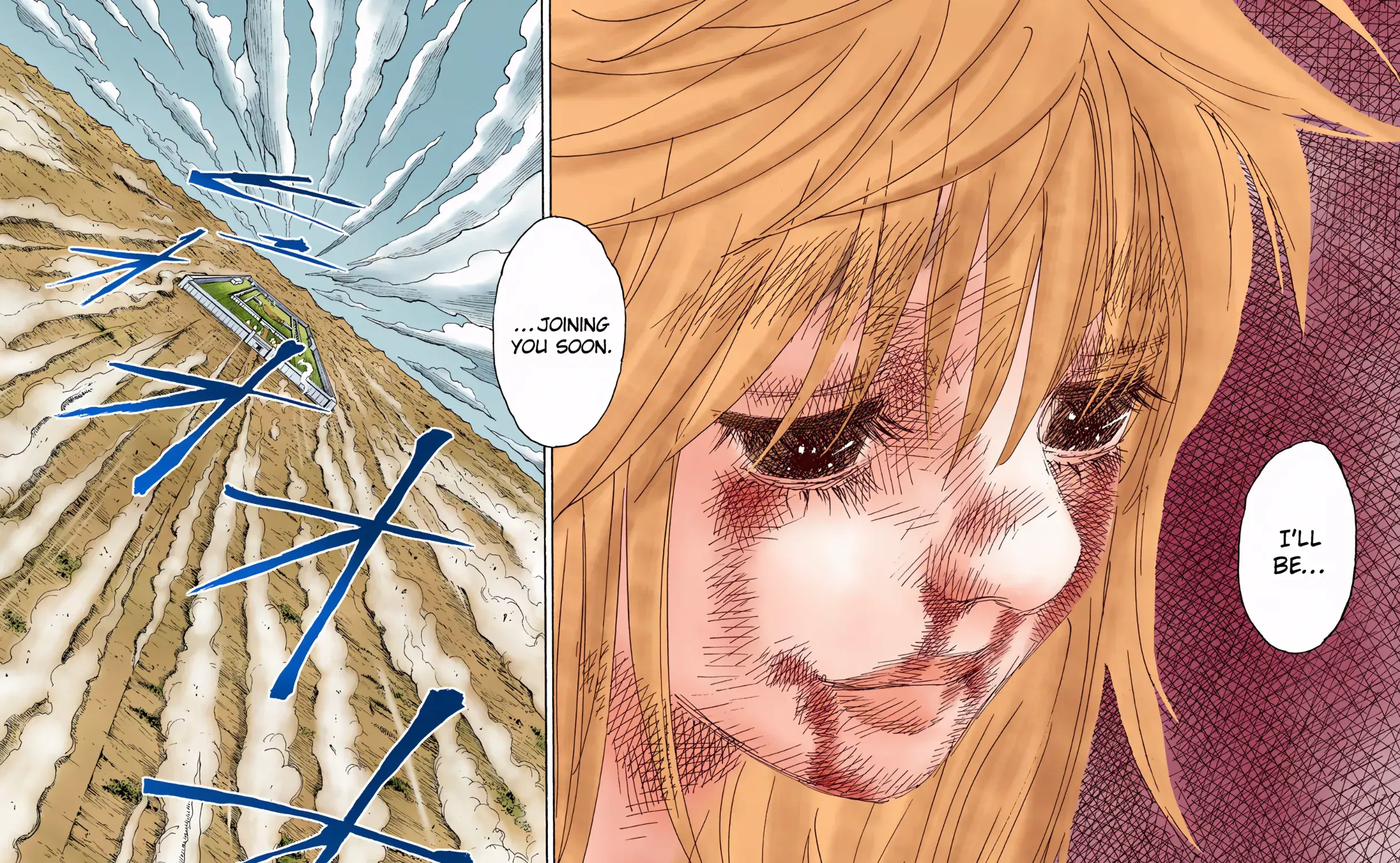 Hunter x Hunter Colored Manga, chapter 318, page 19