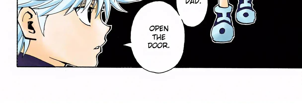 Hunter x Hunter Colored Manga, chapter 324, page 8