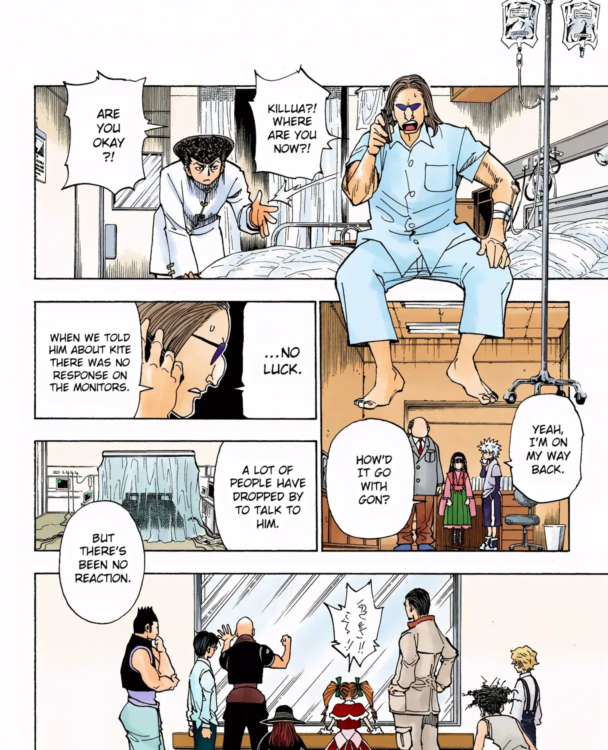 Hunter x Hunter Colored Manga, chapter 324, page 19