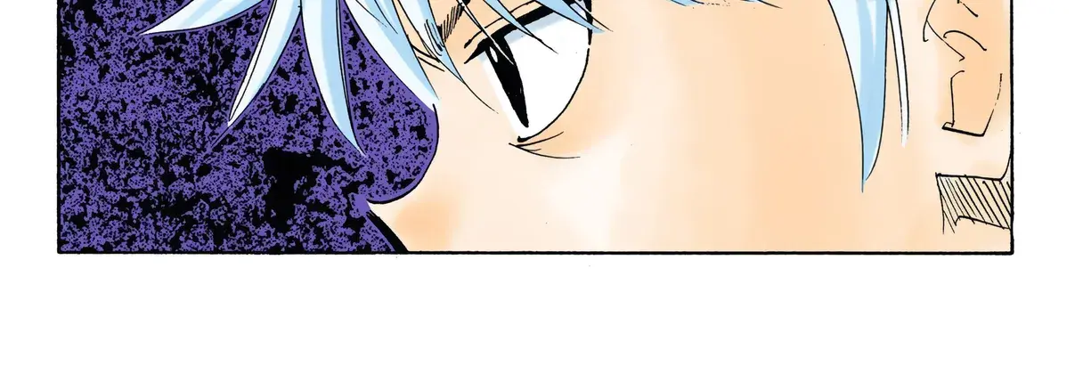 Hunter x Hunter Colored Manga, chapter 326, page 12