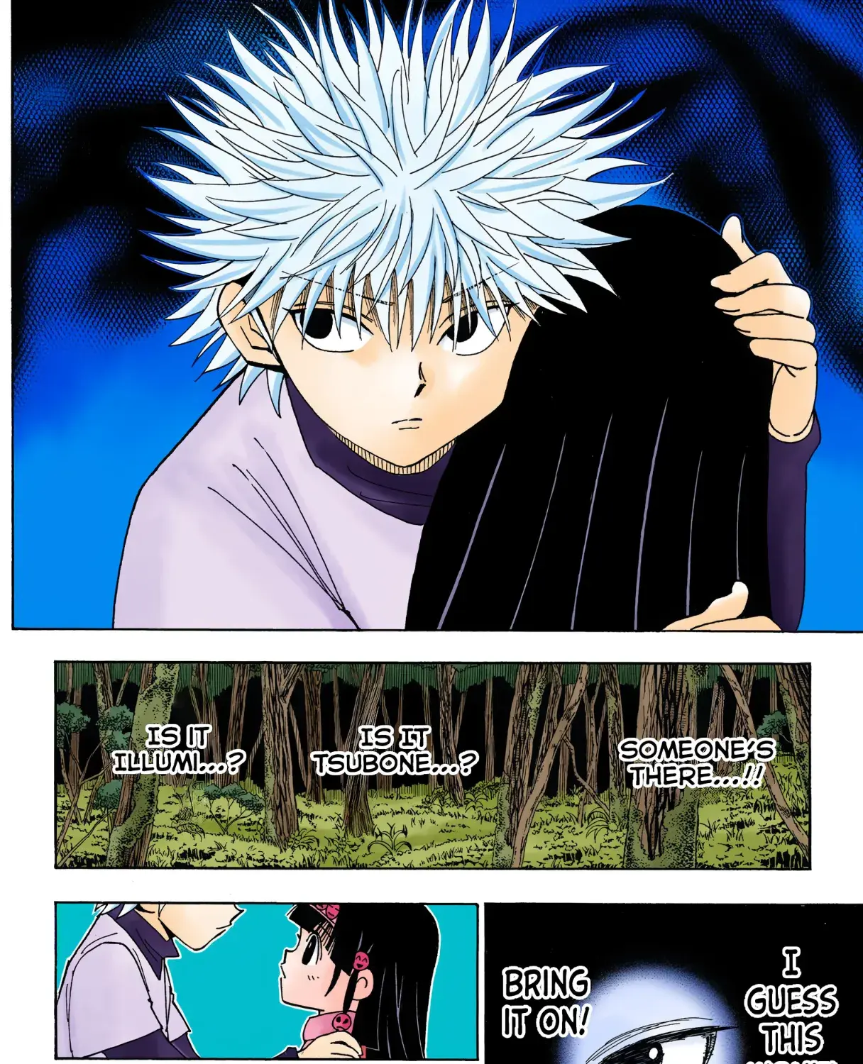 Hunter x Hunter Colored Manga, chapter 327, page 11