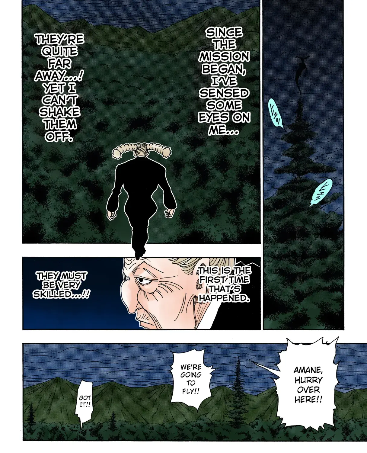 Hunter x Hunter Colored Manga, chapter 329, page 13