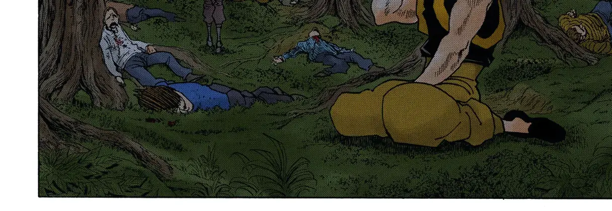 Hunter x Hunter Colored Manga, chapter 329, page 18