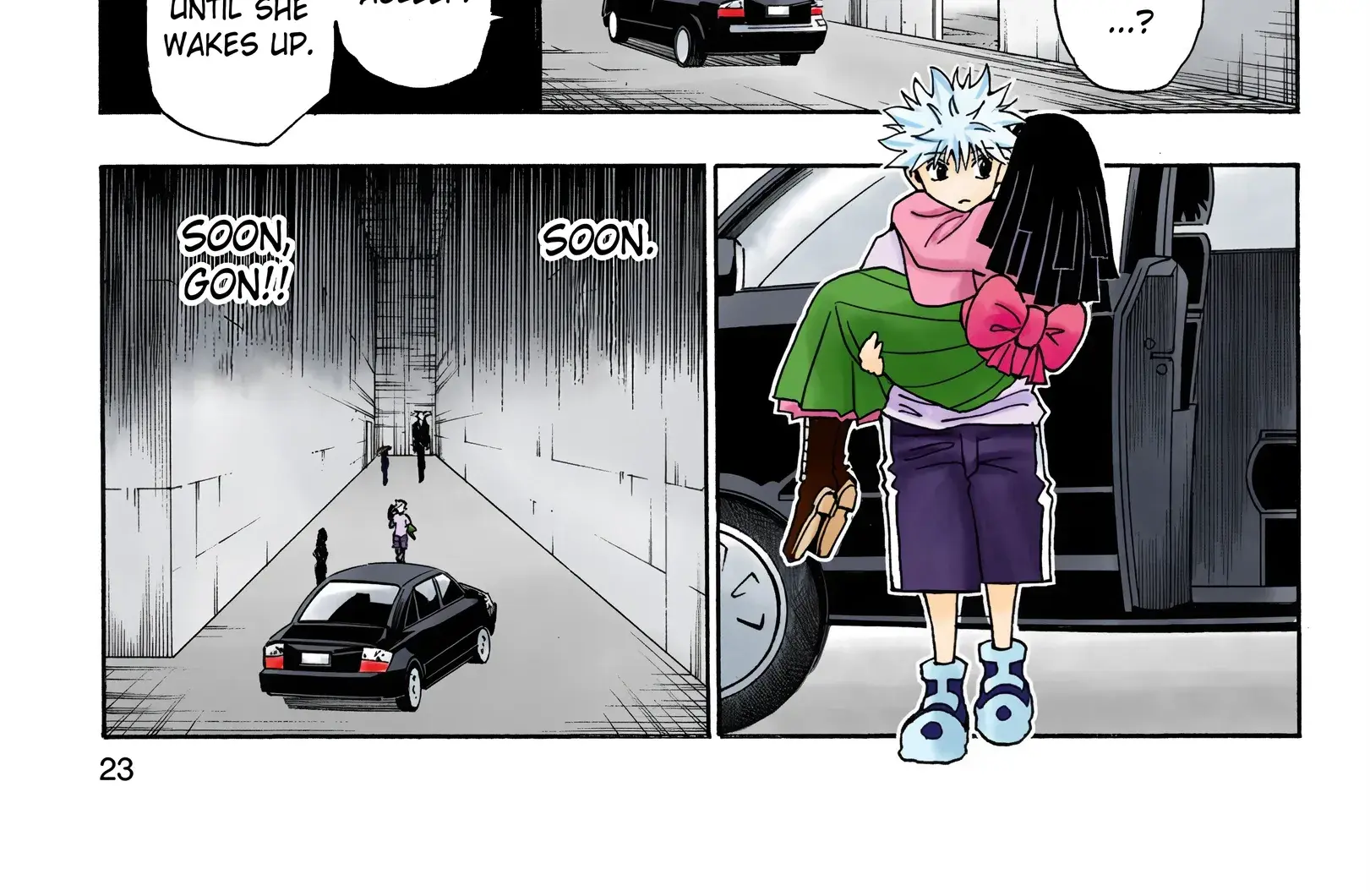 Hunter x Hunter Colored Manga, chapter 331, page 38