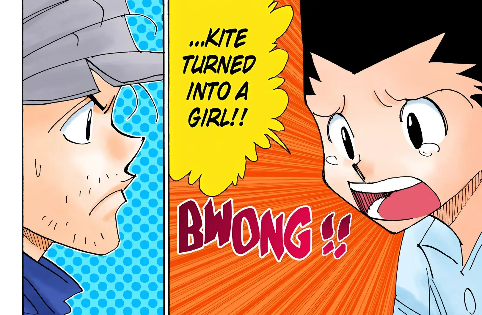Hunter x Hunter Colored Manga, chapter 335, page 4