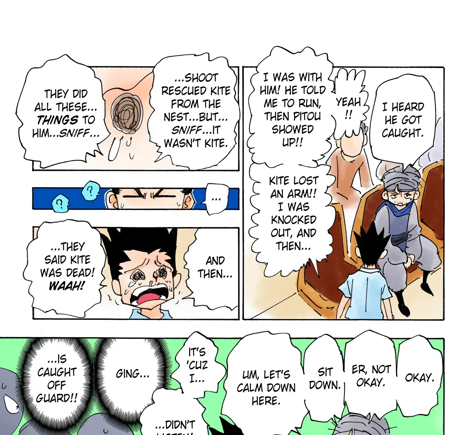 Hunter x Hunter Colored Manga, chapter 335, page 5