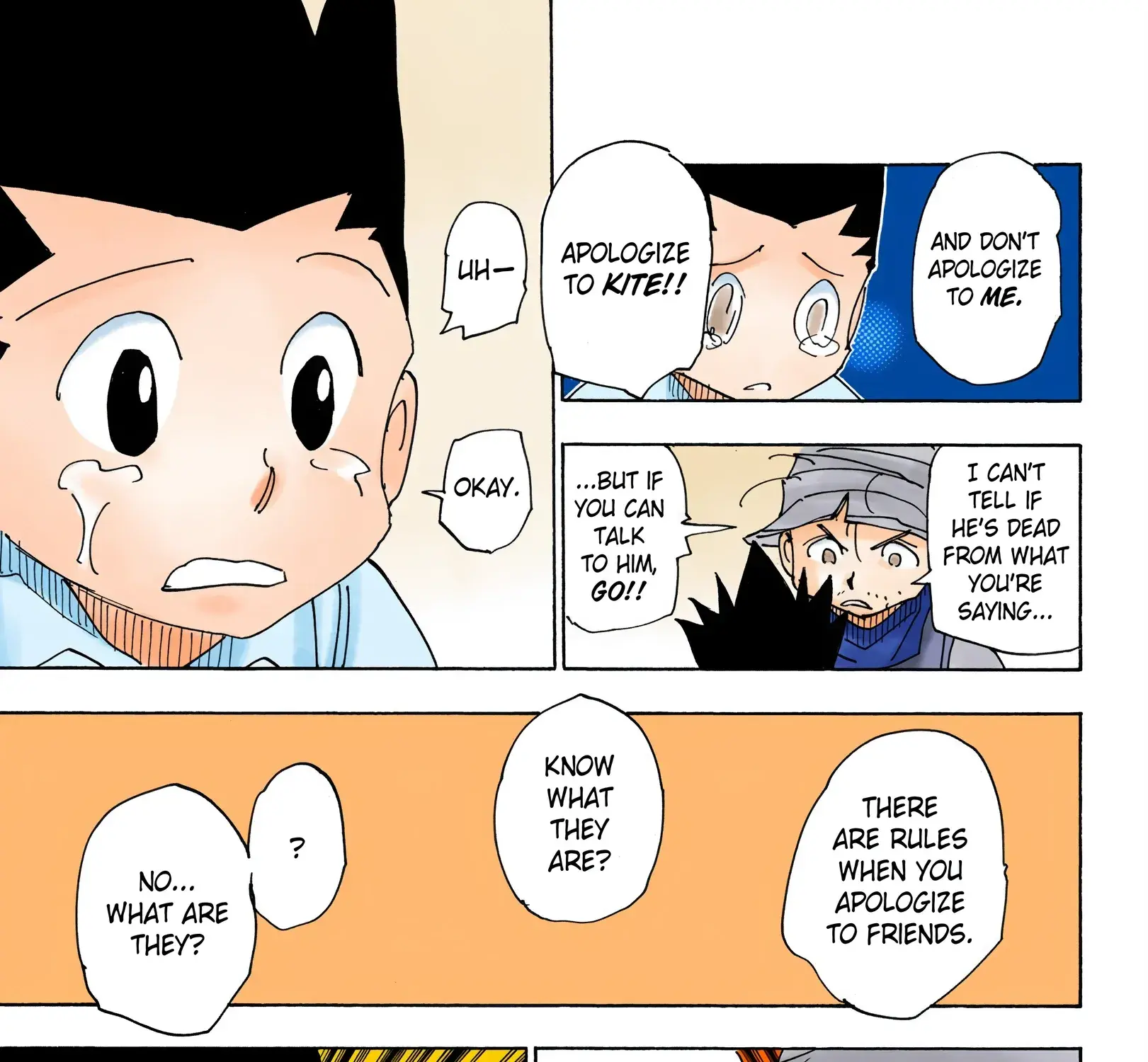 Hunter x Hunter Colored Manga, chapter 335, page 9