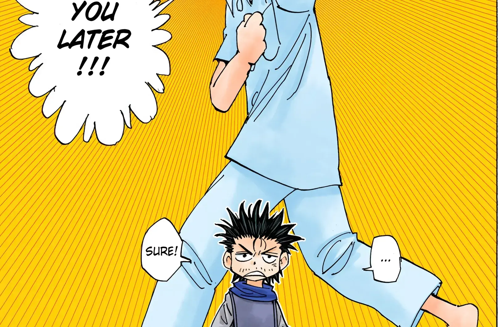 Hunter x Hunter Colored Manga, chapter 335, page 22