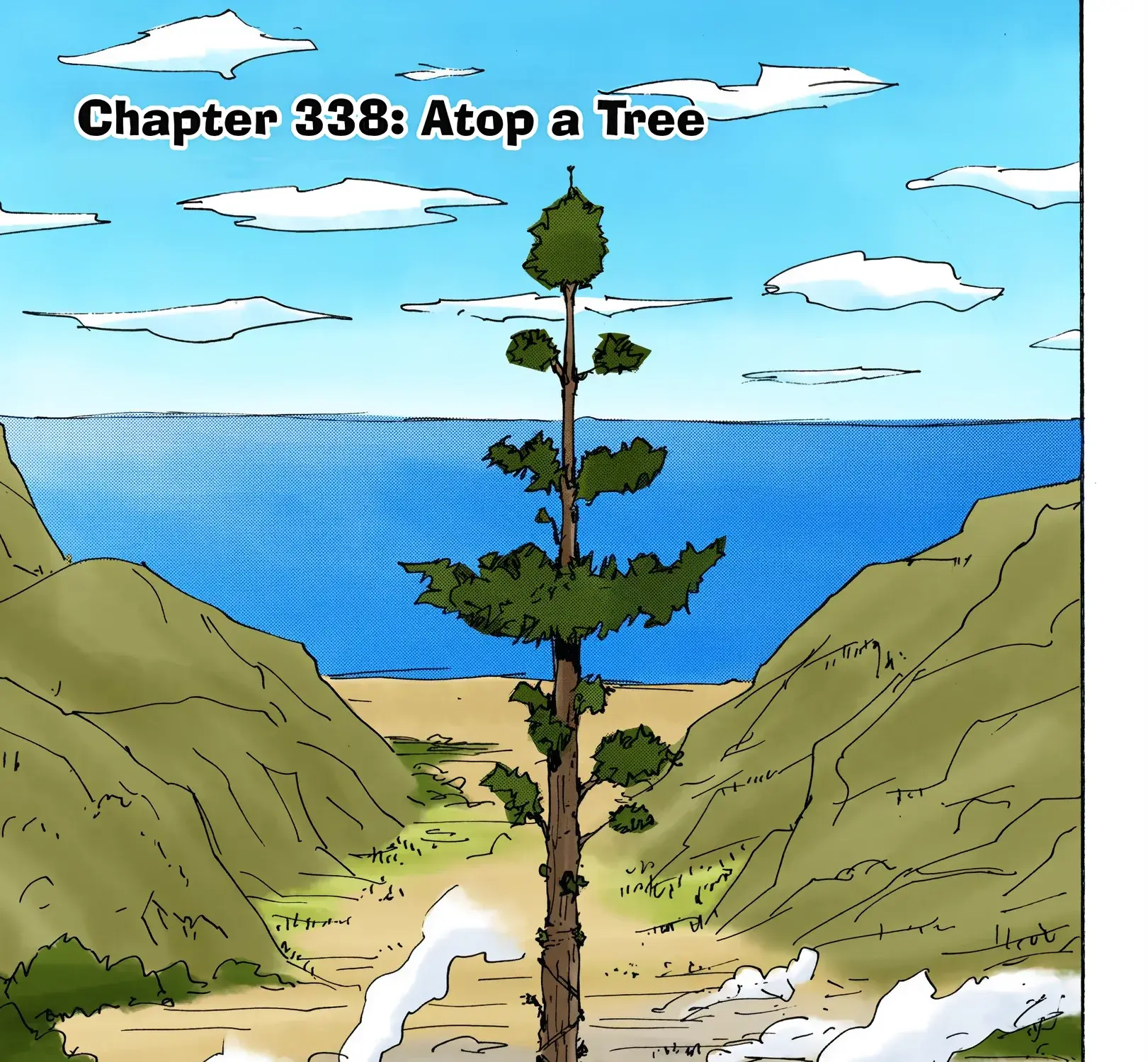 Hunter x Hunter Colored Manga, chapter 338, page 1