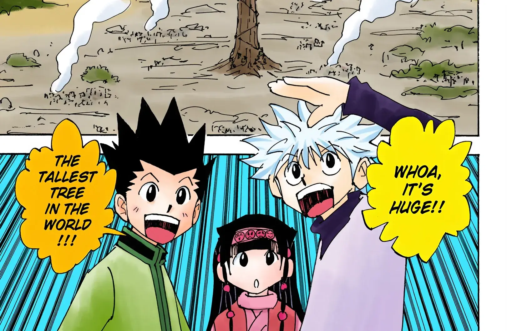Hunter x Hunter Colored Manga, chapter 338, page 2