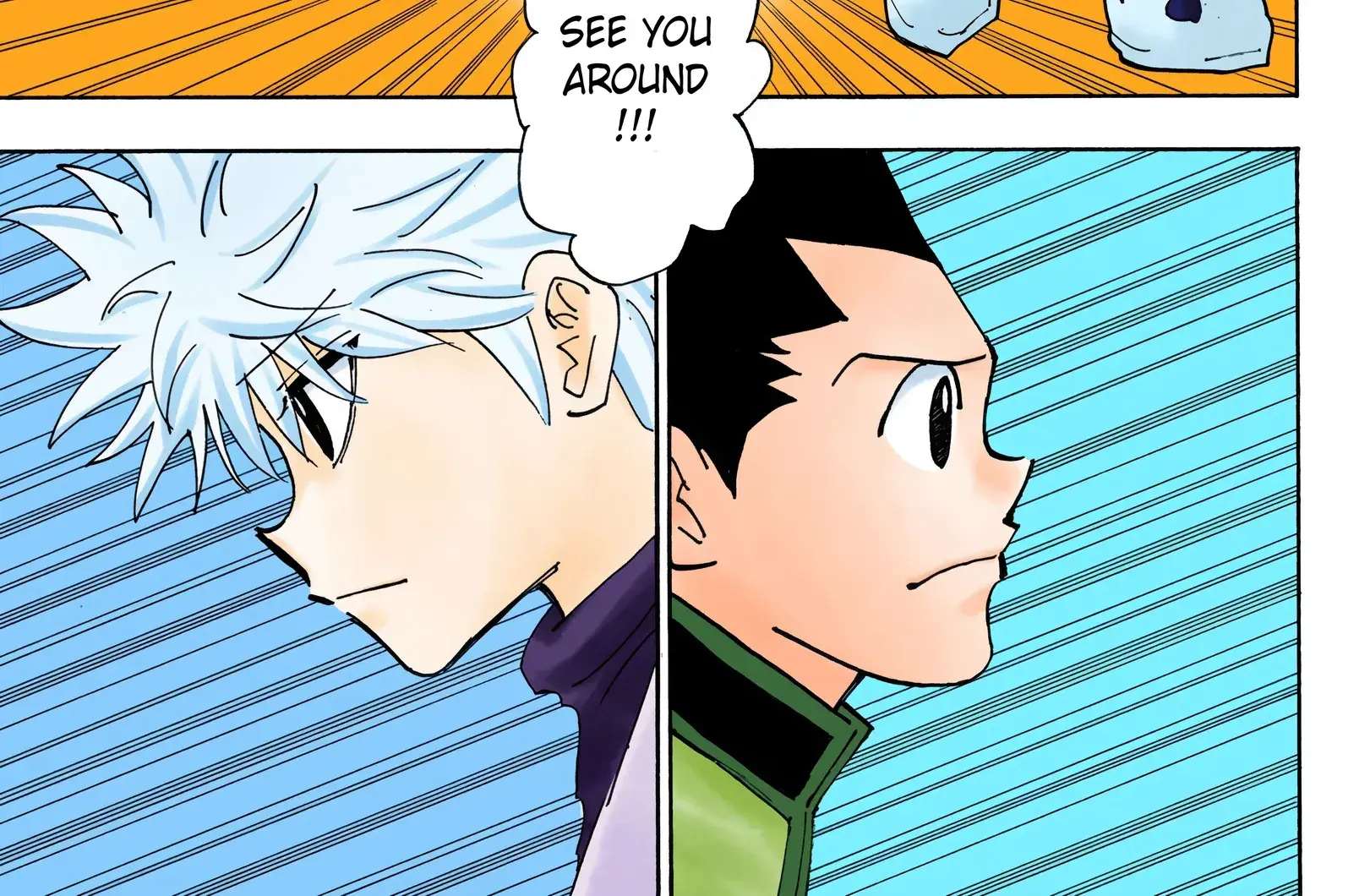 Hunter x Hunter Colored Manga, chapter 338, page 10