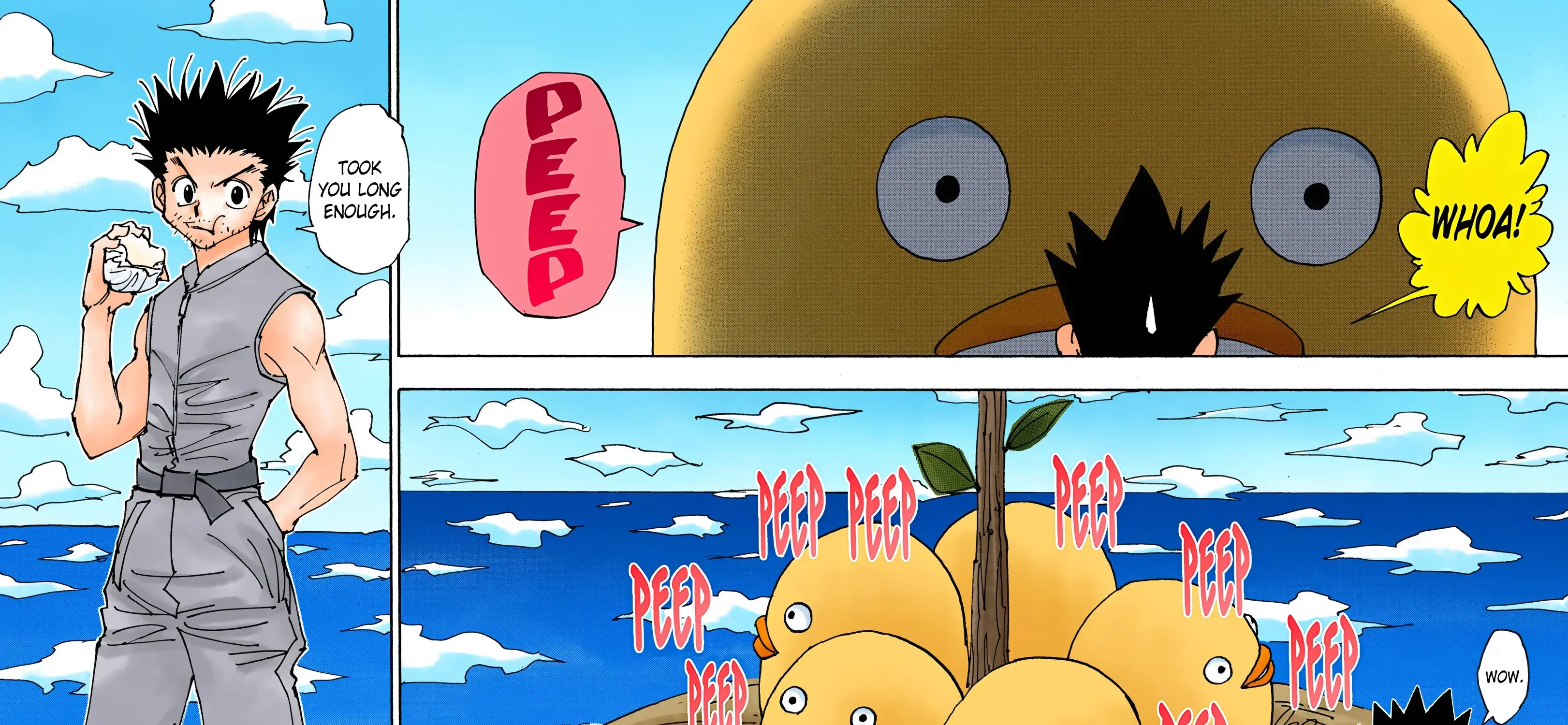 Hunter x Hunter Colored Manga, chapter 338, page 19