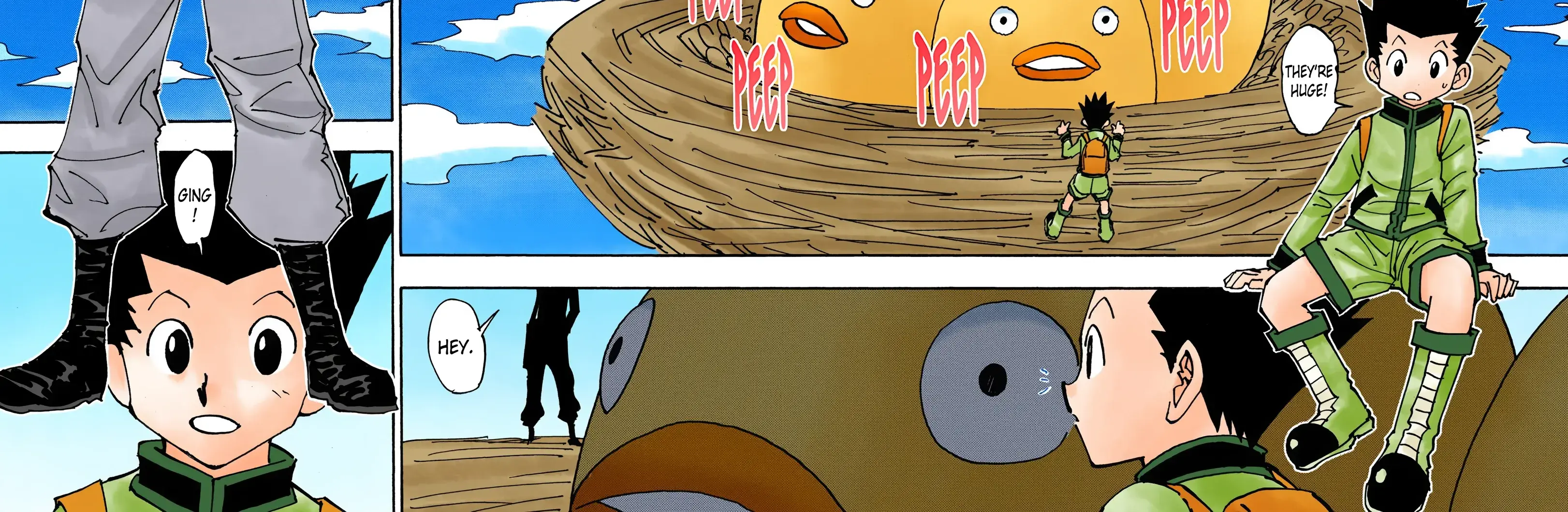 Hunter x Hunter Colored Manga, chapter 338, page 20