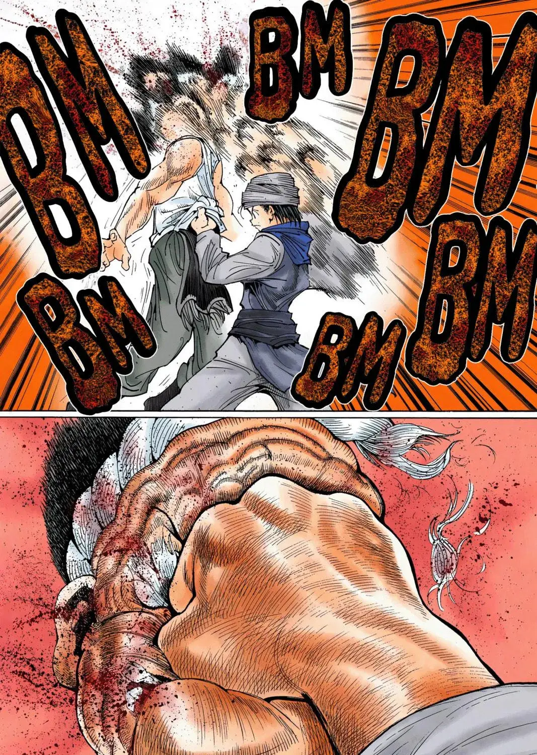 Hunter x Hunter Colored Manga, chapter 343, page 17