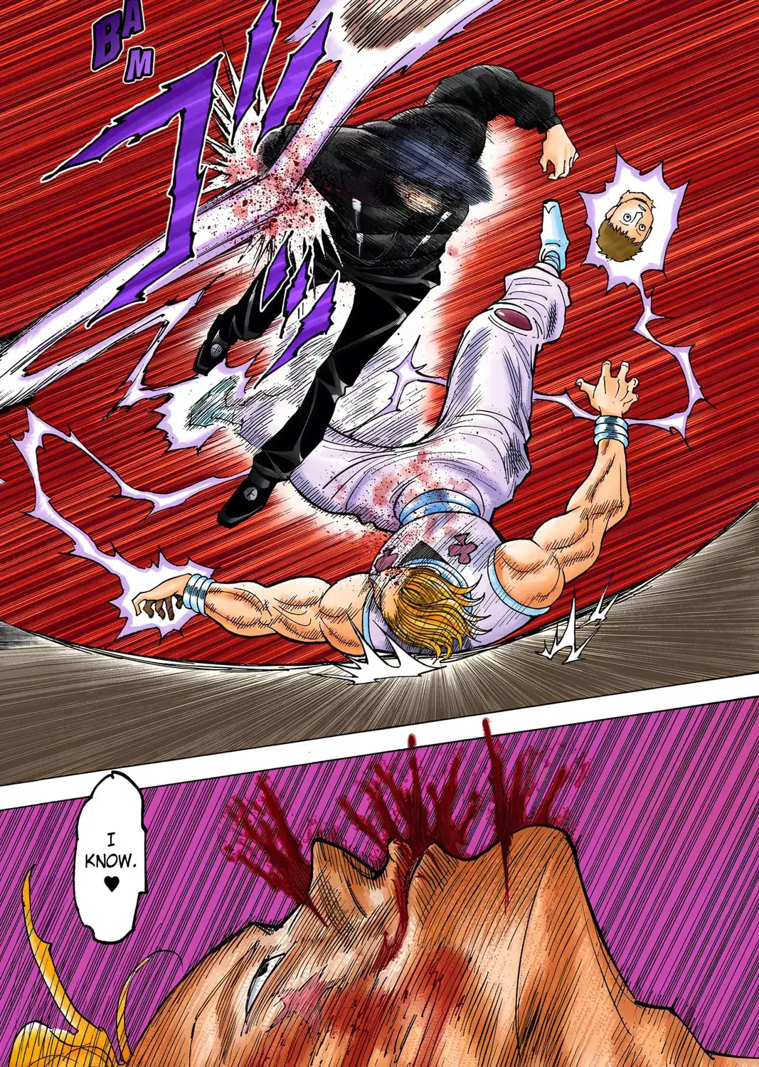 Hunter x Hunter Colored Manga, chapter 353, page 37
