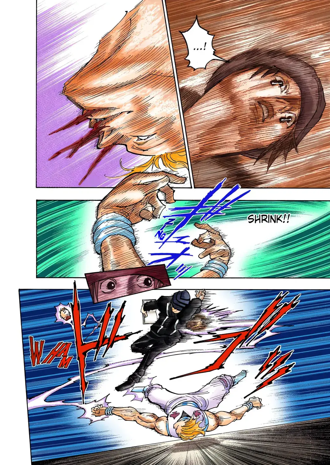 Hunter x Hunter Colored Manga, chapter 354, page 3