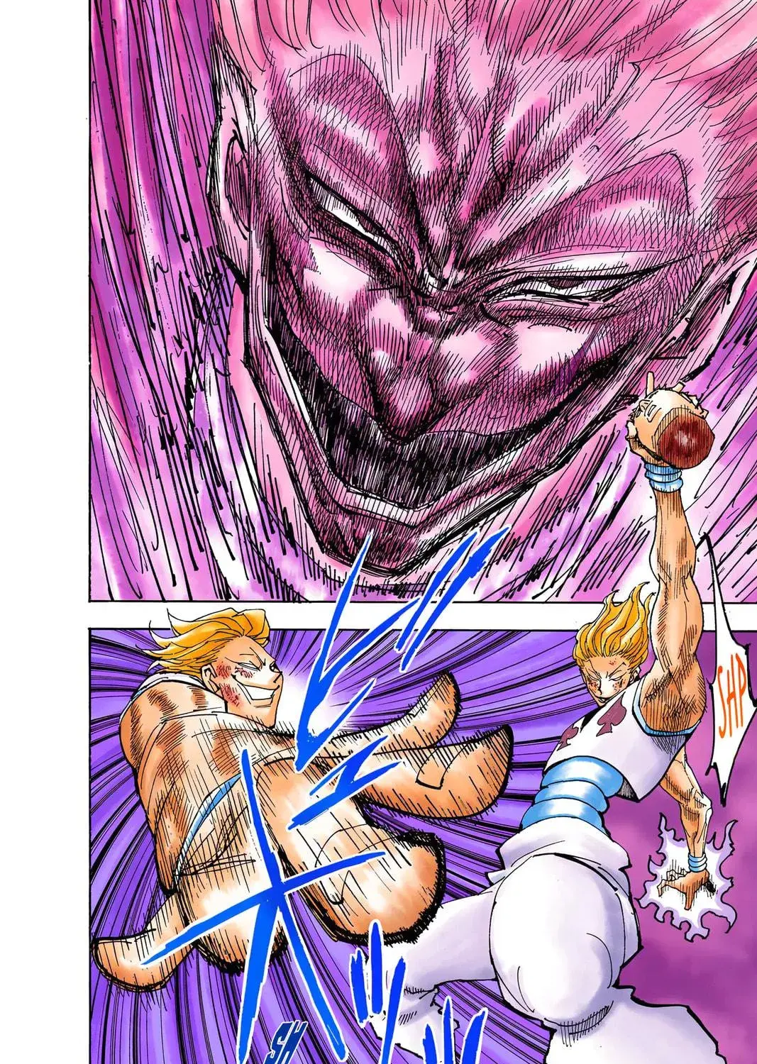 Hunter x Hunter Colored Manga, chapter 355, page 17