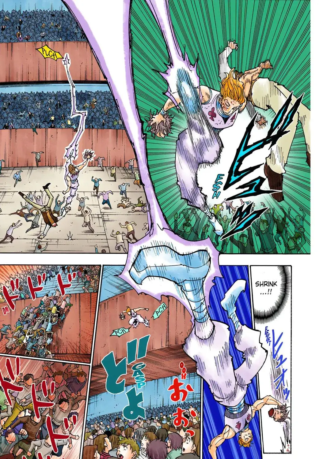 Hunter x Hunter Colored Manga, chapter 356, page 9